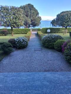 Lake's dream - Feriolo - 9