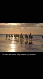 Studio proche mer avec jardin - Ouistreham - 5