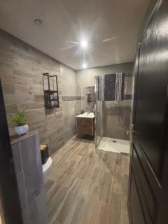 Appartement F2 dessous de villa - Olmeta-di-Tuda - 7
