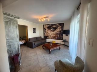 Appartement F2 dessous de villa - Olmeta-di-Tuda - 8