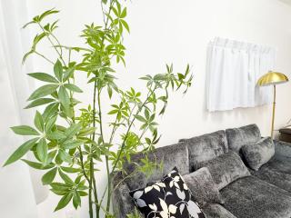 Otter Stay - Masaki - 8