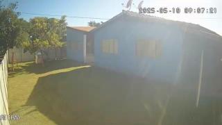 Canto da siriema - Vargem Bonita - 3