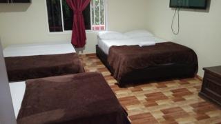 Hotel Campestre Villa Alicia - - 8