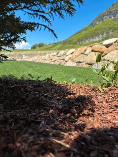 Arnica Alpin Lodge - Cavedago - 2