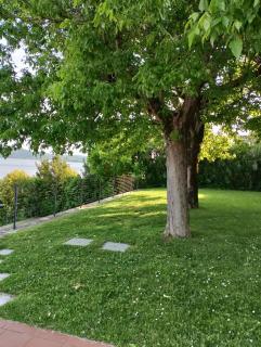 Holiday House Gardazzurro - Padenghe sul Garda - 8