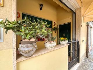 Ficus PT - Pineto Vacanza - 2