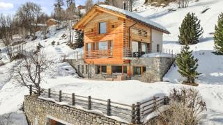 Tigers Nest In Swiss Alps - Veysonnaz - 9