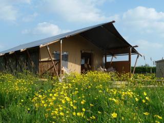 Bramley Lodge - Glastonbury - 0