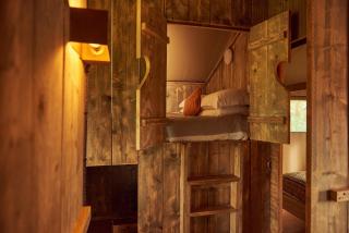 Pippin lodge - Glastonbury - 2