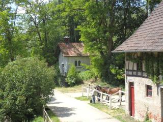 Natur Idylle mit Tieren in der Dachsmühle zwischen Bodensee und Schwarzwald - Immendingen - 8