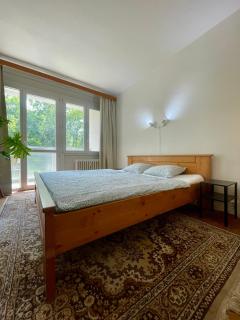 Authentic Self check-in Apartment in vibrant Ruzinov area, Komárnická 42, Bratislava - Bratislava - 7