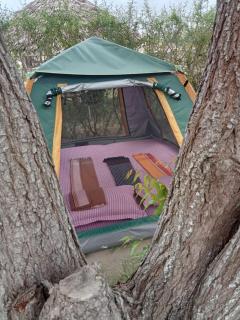 At the CaraVanserai - Kilifi - 9