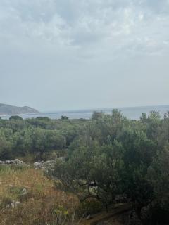 Mani Spot Nezoulas - Álika - 7