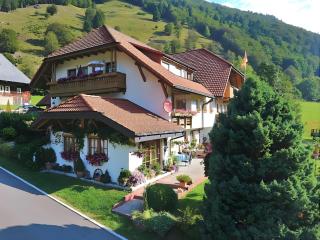 Haus am Rotwiesenbach - Todtnau - 0