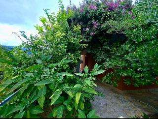 Floral Retreat - Split - 8
