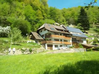 Ferienwohnung Untere Halde - Elzach - 9