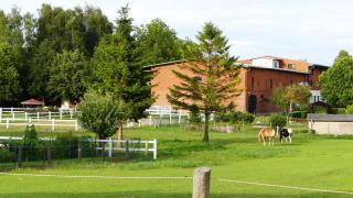 Hof Thomsen - Groß Kordshagen - 8