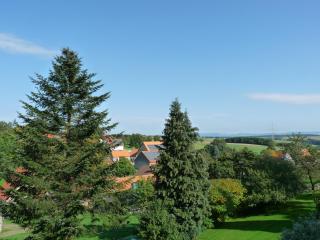 Natur pur - Bad Pyrmont - 0