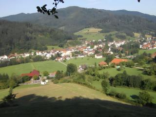 Ferienwohnung Paffendorf - Gutach - 1
