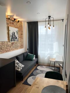 Tony's TWO ROOM apartment - Vilnius - 2