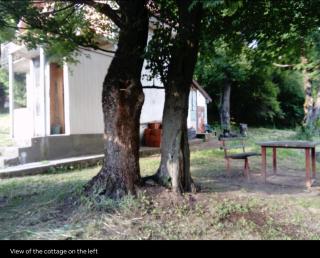 Deep Forest House - 4