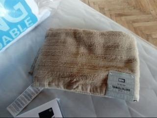 Deep Forest House -  - 6