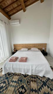 NEW! Apartment immersed in a vineyard - Gradoli - 5