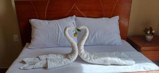 Café Oro Hotel - 9