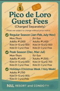 PICO DE LORO ACCOMMODATIONS NORMAN AND LOURDES RESORT & CONDO PH - Nasugbu - 9