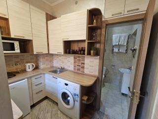 Apartment on Horodotska street - 4