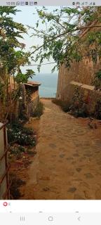 NAFI'0 - Gorée - 9