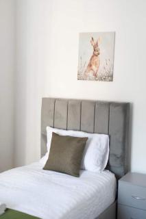 Sleeps 10 5 Bed House in Medway 9 beds - Gillingham - 3