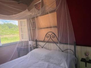 Casa Valle Verde - Mangia - 2