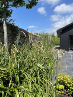 New build eco house in walled garden, Rostrevor - 2