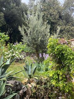 La Bastide des Crinieres Argentees - La Celle-sous-Gouzon - 9