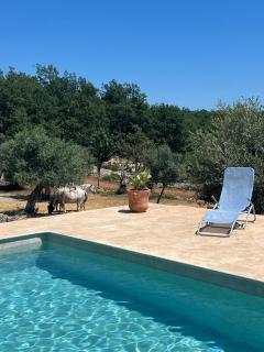 La Bastide des Crinieres Argentees - 4