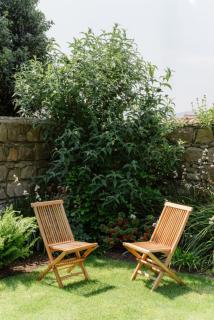 New build eco house in walled garden, Rostrevor - Rostrevor - 1