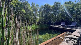 La villa Nature au territoire du Pic Saint Loup - Viols-le-Fort - 6