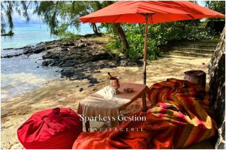 SG15 l Villa Carmin - Lagoon View - Sandy Beach - Roches Noires - 7