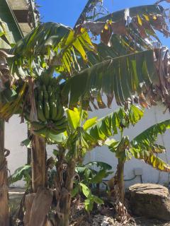 Casas Sol de Bolonia - 2