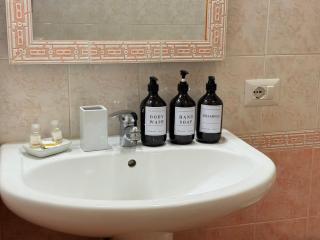 Luxury 5BR , 4BA Penthouse In the City Center - 3