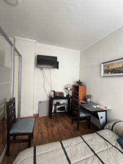 Lindisimo Departamento Oficina-Estudio en el corazón de Santiago - Santiago - 9