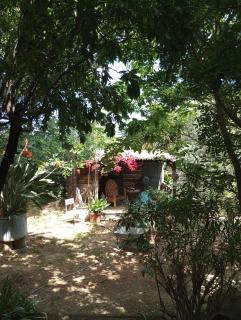 petite maison de bois - Banyuls-dels-Aspres - 7