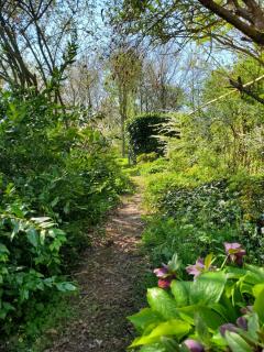 Le Jardin des Papillons, gîte et chambre d'hôtes à Saint Fraimbault - Saint-Fraimbault - 7