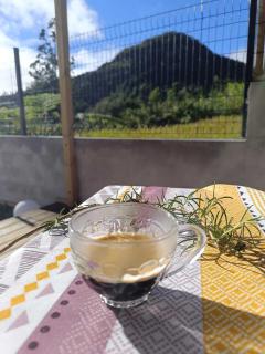 L'Eden du Piton des Roches - La Plaine des Palmistes - 6
