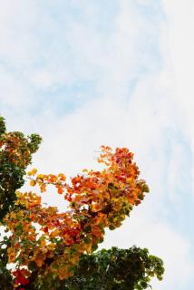 The Sanctuary Devonport - 7