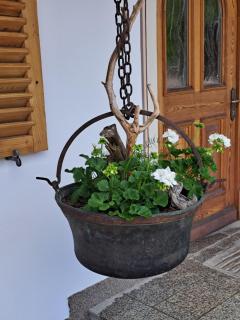 Ferienhaus & -wohnung Flatscher - Waidring - 4