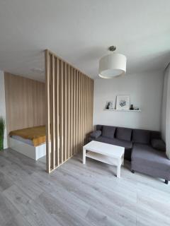 Rocco Marina apartament w samym centrum Gdańska - Danzig - 0