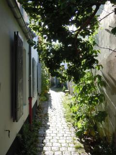 Charmante Maison Saint-Martin-de-Ré - Saint-Martin-de-Ré - 9