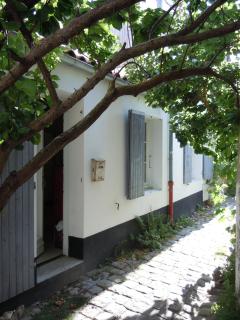 Charmante Maison Saint-Martin-de-Ré - Saint-Martin-de-Ré - 0